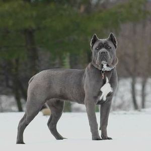 Meet your Posher, Pamela